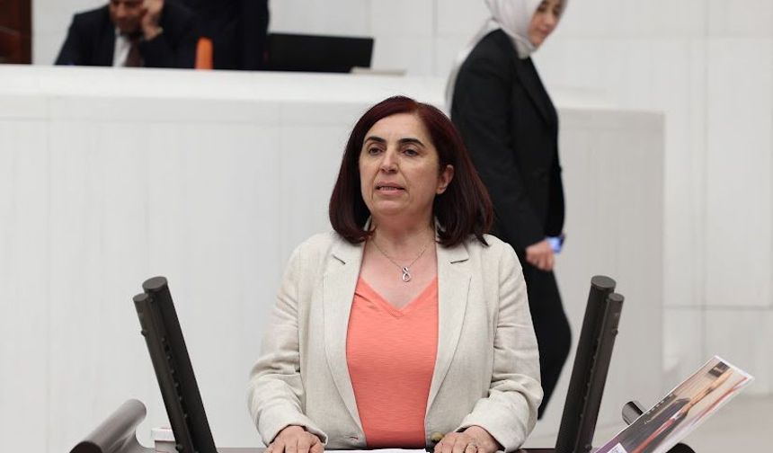 DEM Partili Sevilay Çelenk, “Çocuğun işçisi olmaz, çocuklar çocukluklarını yaşamalıdır!”