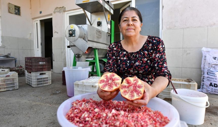 BÜYÜKŞEHİR’DEN BİR İLK: NAR TANELEME MAKİNESİ