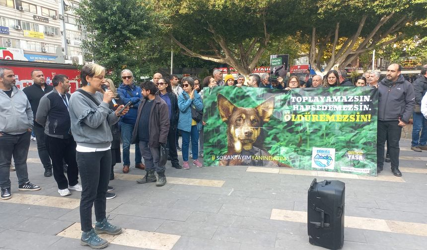 Adana’da Hayvan Hakları İçin Eylem: "Katliama Karşı Mücadeleye Devam Edeceğiz!"