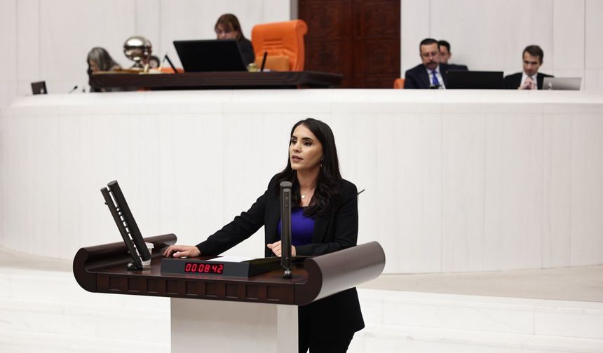 Nevroz Uysal Aslan'dan, İnfaz Kanununda Değişiklik Yapılması Hakkında Kanun Teklifi!