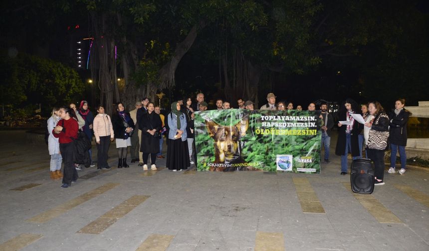 Sokak Hayvanları İçin Anayasa Mahkemesi’ne Çağrı: Yurttaşlar İnönü Parkı’nda Toplandı