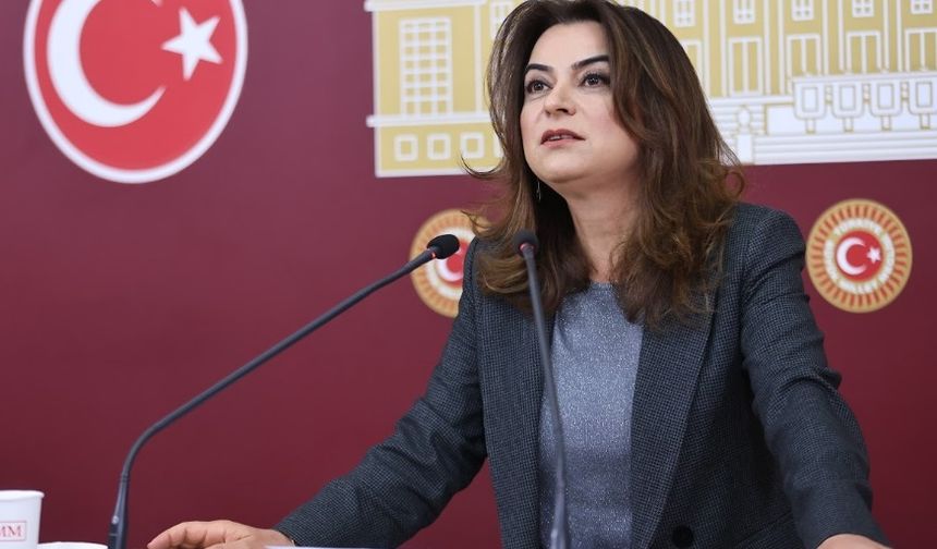 Gülistan Kılıç Koçyiğit: Kobanê’de 4 Çocuk Soğuktan Donarak Hayatını Kaybetti