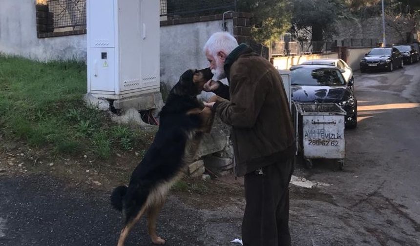 TEMEL DEMİRER: Tarım Meselesi: Dönüşüm, Durum Ve İtiraz(ımız)[*]