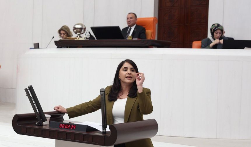 DEM Partili Nevroz Uysal Aslan’dan Ceza ve İnfaz Mevzuatına Değişiklik Teklifi