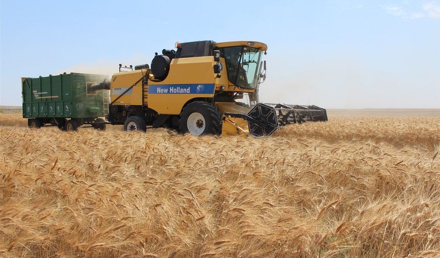 TMO 2026 hububat alım fiyatları açıklandı: Buğday 16.500 TL, arpa 12.750 TL