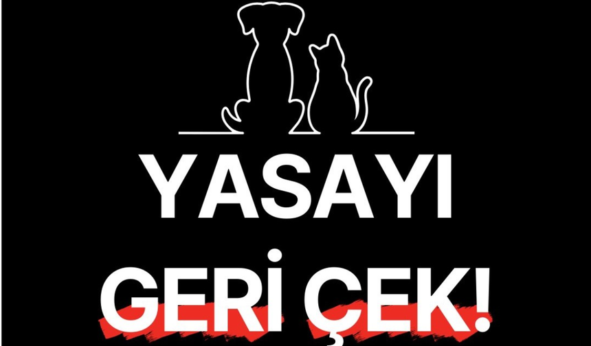 YAŞAMDAN YANA OLANLAR 7 MAYIS'TA AYM ÖNÜNE ÇAĞRI YAPTI