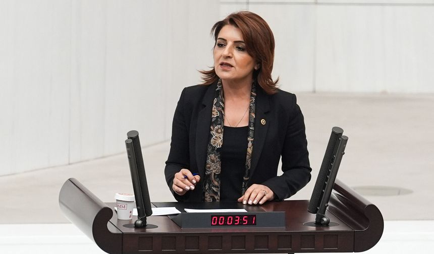 Gülcan Kış: "AKP, Millete Tasarrufu, Bütçeye Faizi Reva Gördü"