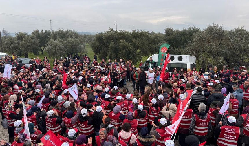 Polonez İşçileri: Yanlış yapan sendikacı sendikaya zarar verir. İşçiden sendikaya zarar gelmez.