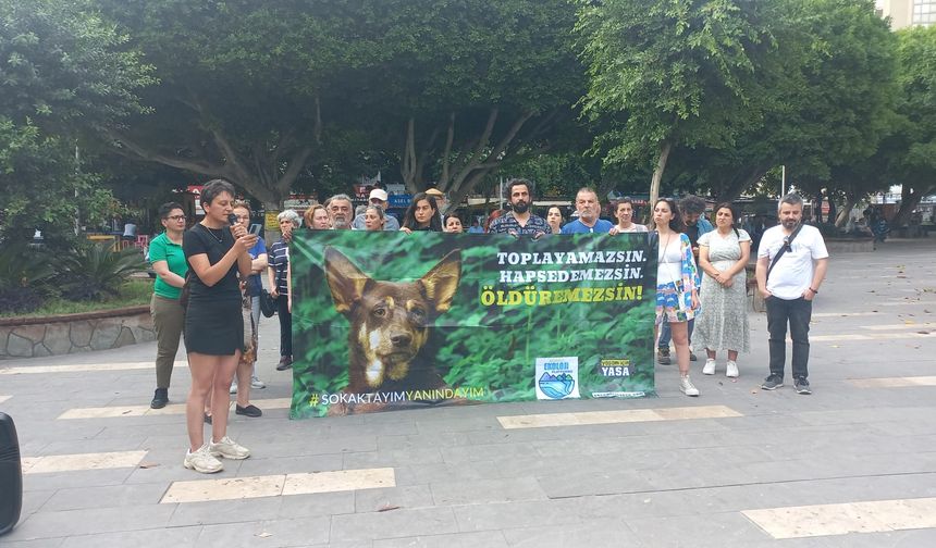 Adana’da Sokak Hayvanları İçin Acil Çağrı: Bu Yasayı Tanımıyoruz!