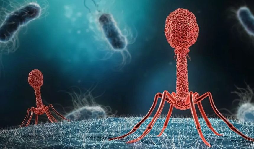 Antibiyotik direnci milyonlarca yıl öncesine dayanıyor ve modern tıp için önemli dersler içeriyor