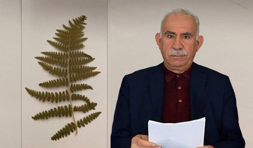 DEM Parti İmralı Heyeti, Öcalan'ın Mesajlarını Paylaştı: "Çıkarılacak Yasa Sürecin Anahtarı Olacak"