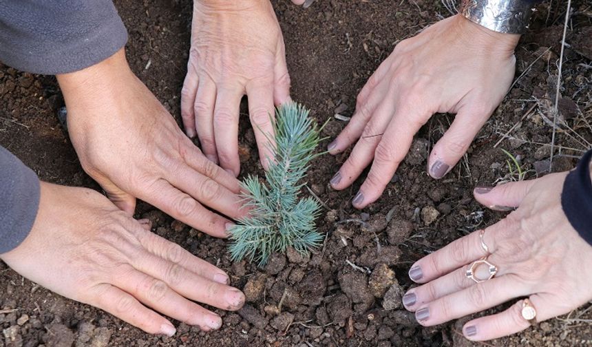 Bu Babalar Günü’nde doğaya ve geleceğe destek olun