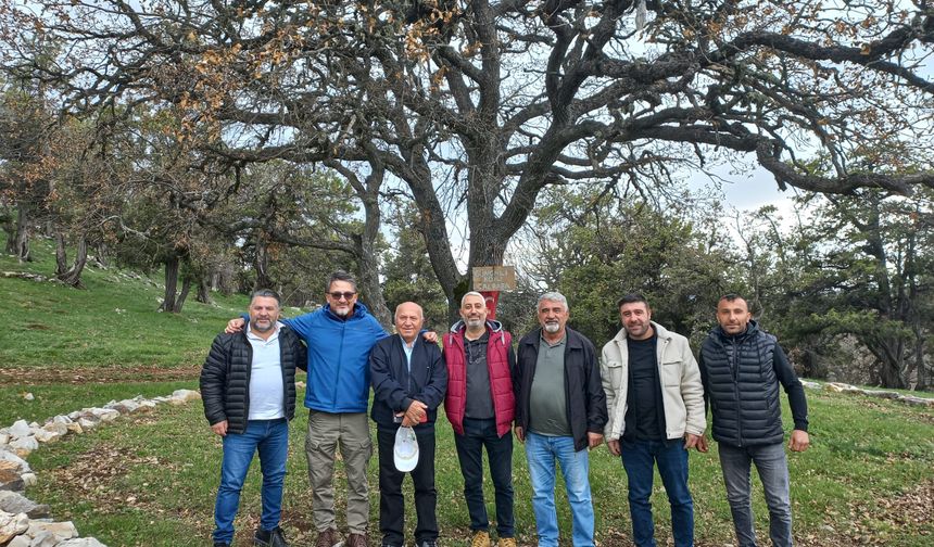 TOKAT’TA SİYANÜRLÜ MADENE GEÇİT YOK: ÇALBABA ORMANINI, İNANCIMIZI VE GELECEĞİMİZİ SAVUNUYORUZ!