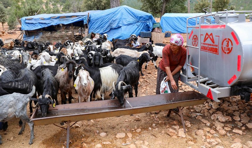Sulama Tankeri Desteği Projesi, konargöçer Yörükler’in yüzünü güldürüyor