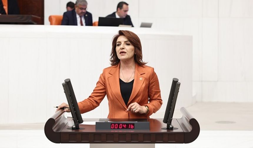 CHP’li Gülcan Kış: “Bir yanda milyar euroluk kaynaklar, diğer yanda susuz kalan tarlalar”