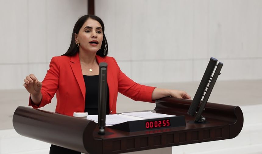 DEM Partili Uysal Aslan: Cihatçı Yapılara Meşruiyet, Kürtlere Tasfiye mi Amaçlanıyor?