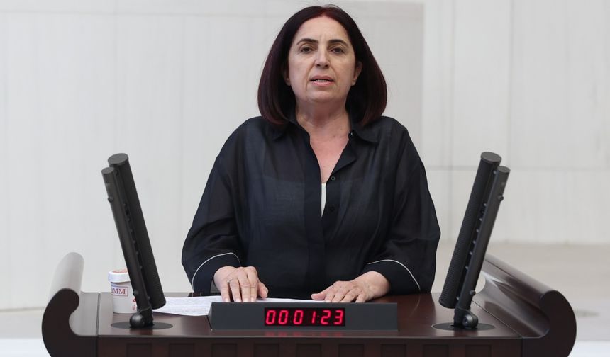 Sevilay Çelenk’ten Meclis’e Emekli Yoksulluğu Çıkışı: “İnsanlar Keyiften Değil, Mecburiyetten Çalışıyor!”
