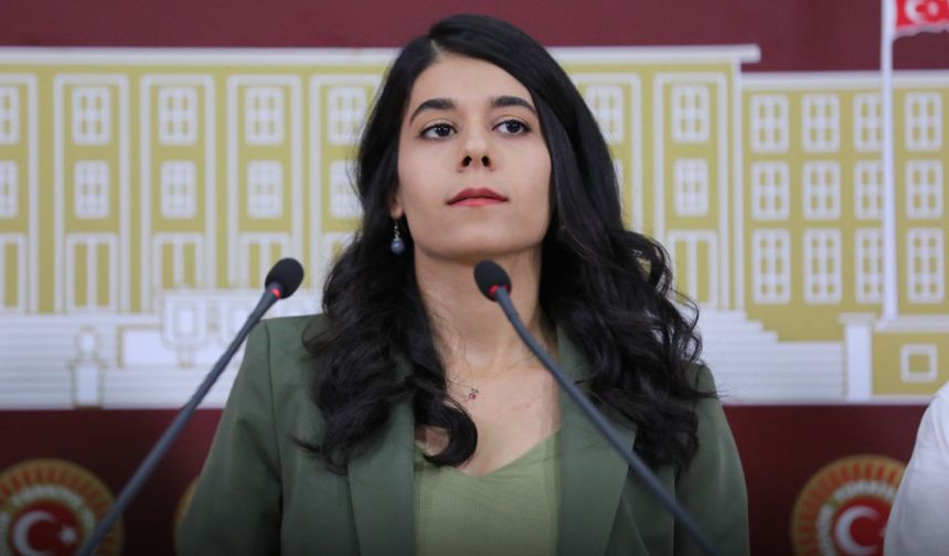 DEM Parti Mardin Milletvekili Beritan Güneş, “Zeytinlikler talan ediliyor, doğa piyasaya kurban ediliyor!”