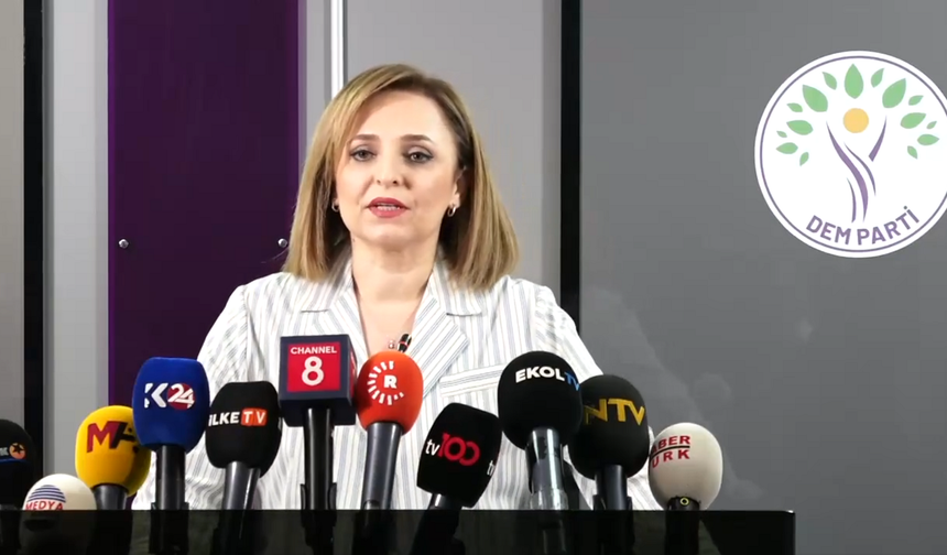 Doğan: Komisyon Sürecinde Toplumun Tüm Deneyimleri Kayda Geçmeli