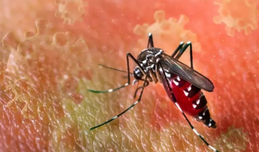 Küba’da Sivrisinek Kaynaklı Hastalıklarda 33 Ölüm