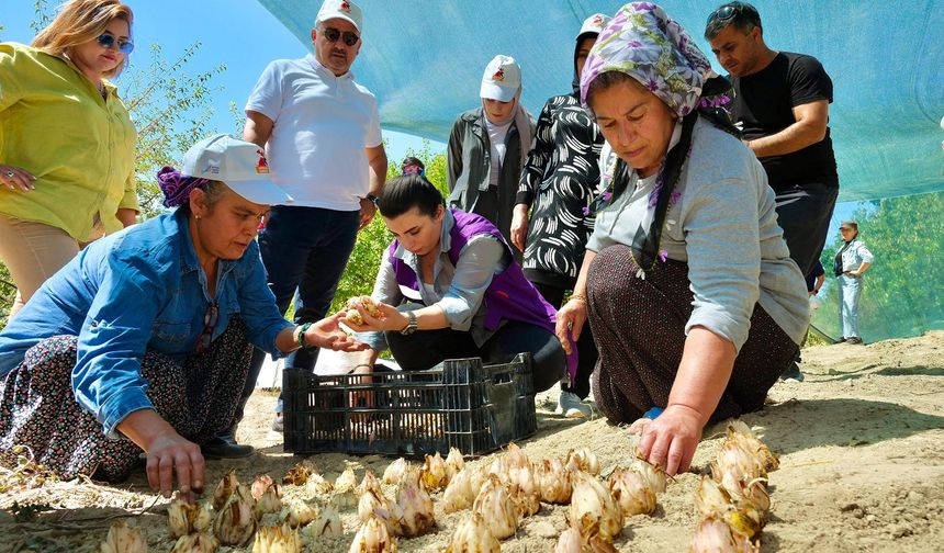 Zeydan Karalar’ın kadının güçlendirilmesine yönelik projeleri yaygınlaştırılıyor.