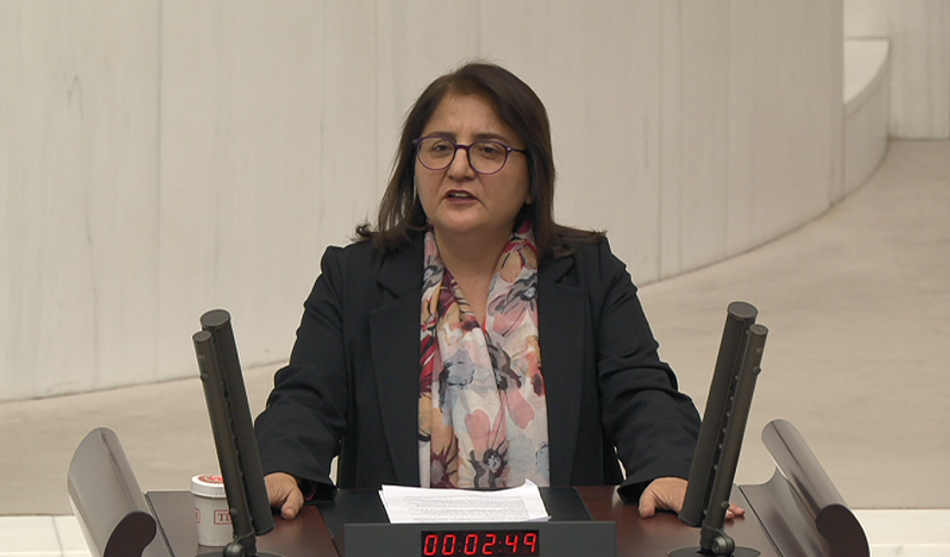 DEM Partili Ayten Kordu’dan 6 Şubat Depremleri İçin Meclis Araştırması Talebi