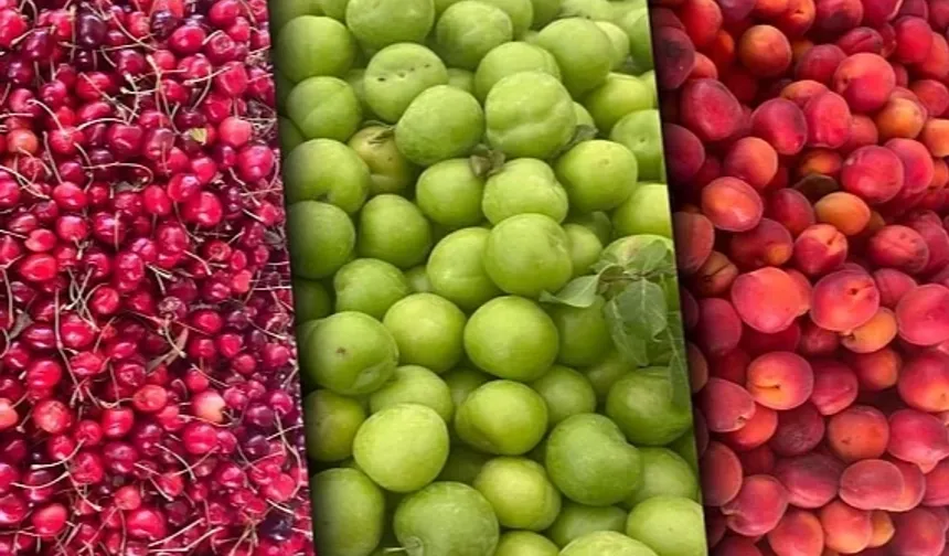 Tarımsal Girdi Maliyetleri Yıllık Yüzde 36,65 Arttı