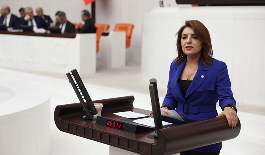 CHP’li Gülcan Kış: “Sandıkta Alamadığınızı Kanunla Almaya Çalışıyorsunuz”