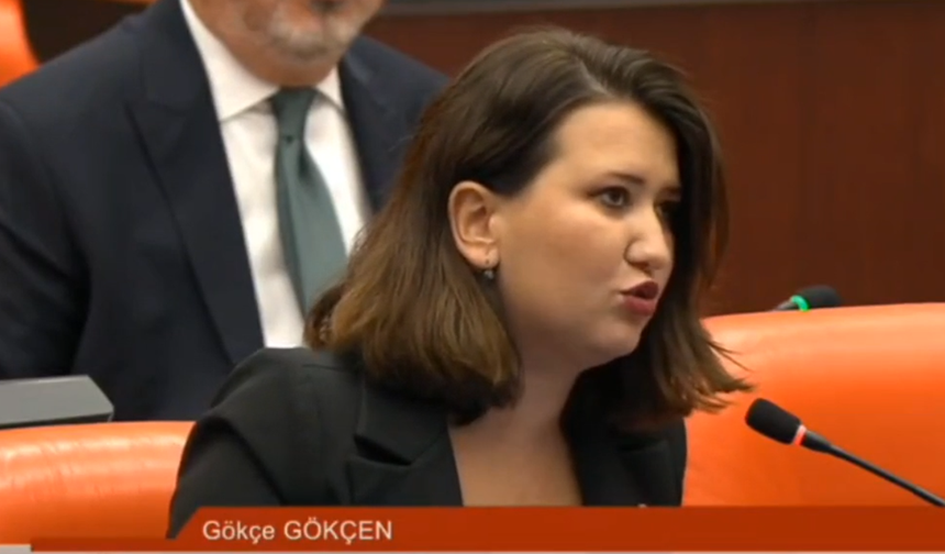Gökçe Gökçen: "Gazetecilere, gençlere, siyasetçilere özgürlük"