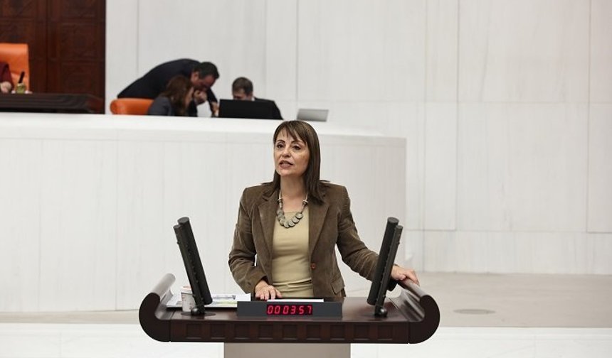 DEM Partili Kezban Konukçu’dan Harşit Vadisi ve Maden Faaliyetlerine Tepki