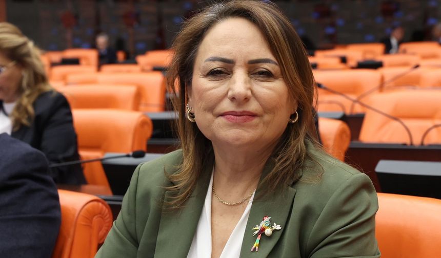 CHP Adana Milletvekili Şevkin'den Aladağ’a ‘Kayak Merkezi’ çağrısı…