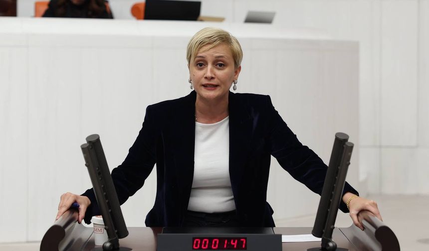 Perihan Koca: Nadir Toprak Elementleri Emperyalistlere Peşkeş Çekiliyor