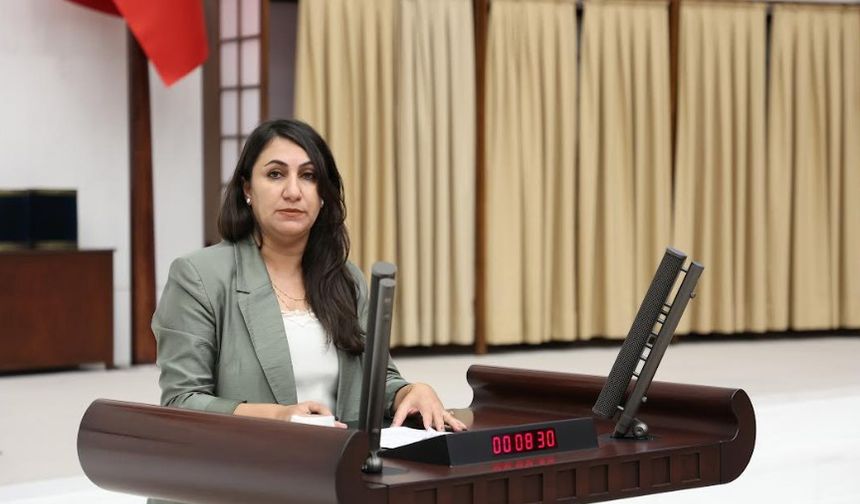 DEM Partili Oduncu: “Kültürel miras yerelden alınıp saraya devrediliyor”