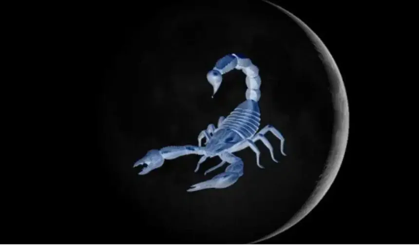 20 Kasım Akrep Yeniayı: Hangi Burç Hayatında Ani Dönüşümler Yaşayacak?