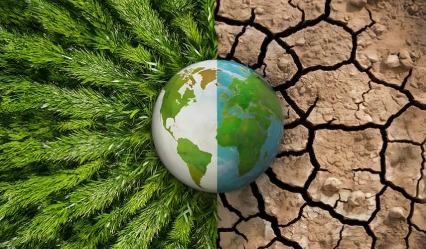 İklim Değişikliği Soframızı Sessizce Değiştiriyor: Daha Çok Kalori, Daha Az Besin!