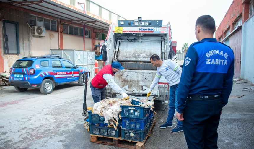 Seyhan Belediyesi Zabıtası, İnsan Sağlığına Yönelik Tehditlere Göz Yummuyor