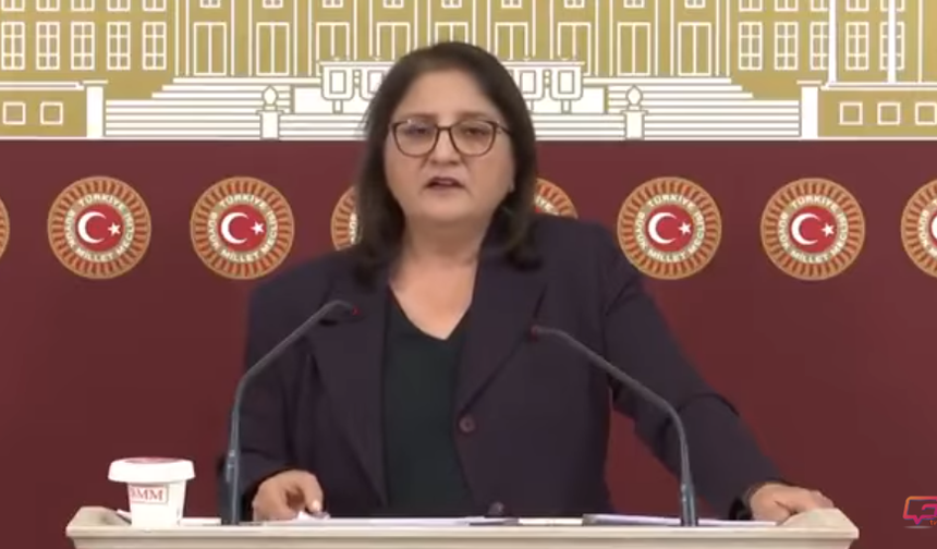 DEM Parti Milletvekili Ayten Kordu: “Yok” bahanesi kabul edilemez — Dersim’in hakkı olan bütçe Dersim’e ayrılmalıdır!