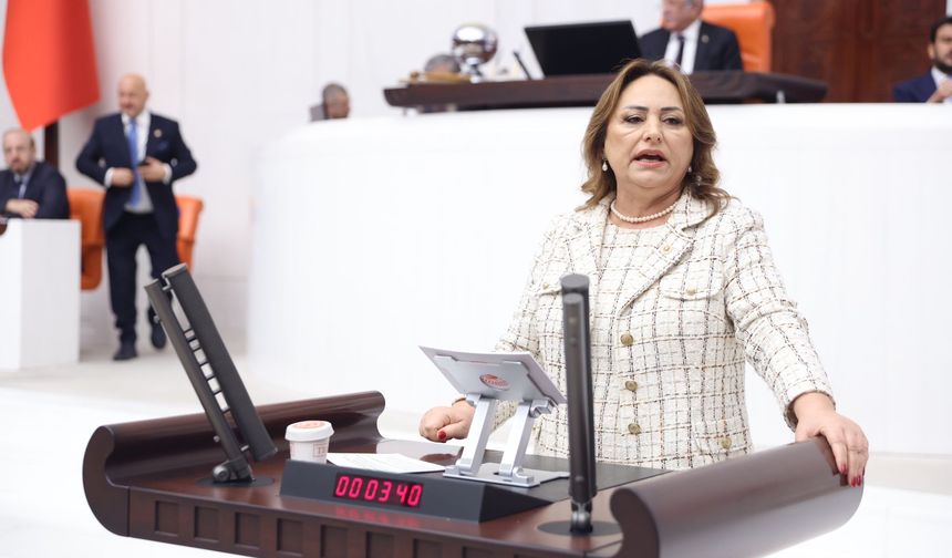 CHP'li Şevkin, Haykırıyorum: Yağmaya ve talana son verin!