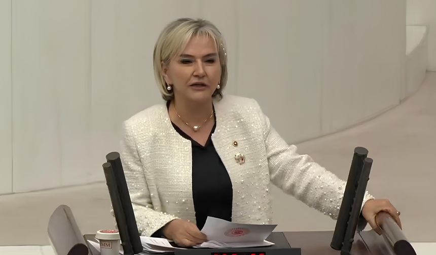 CHP İstanbul Milletvekili Nimet Özdemir, “Sorun Bütçede Değil, Vicdandadır”