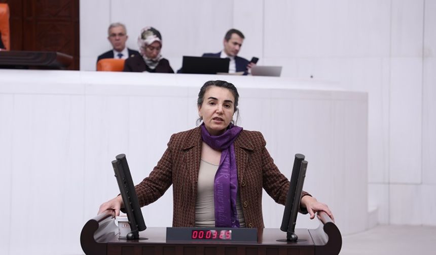 DEM Partili Çiçek Otlu: Saç Örgüleri Direnişin Türküsüdür, Kadın Devrimini Savunacağız