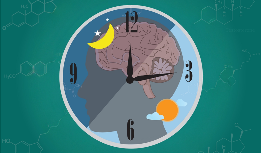Biyolojik Saat ve Beyin Sağlığı: Sirkadiyen Ritmin Demansla İlişkisi