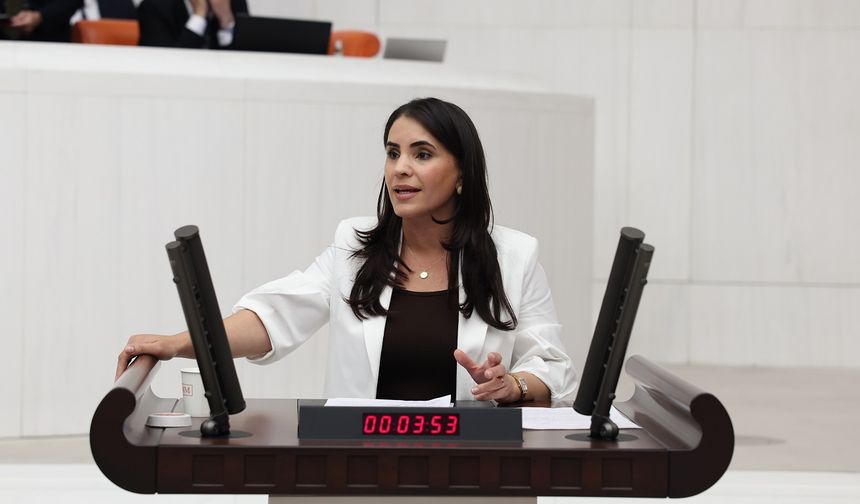 DEM Partili Nevroz Uysal Aslan: Cezaevleri Hukukun Askıya Alındığı Kapalı Rejim Alanlarına Dönüştü