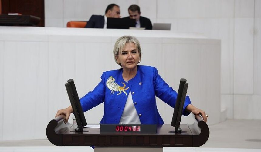 İstanbul Milletvekili Nimet Özdemir CHP'den İstifa Etti