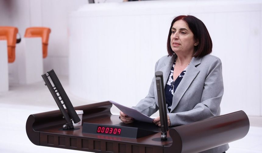 DEM Parti Milletvekili Sevilay Çelenk, İliç Maden Faciasını Meclis Gündemine Taşıdı