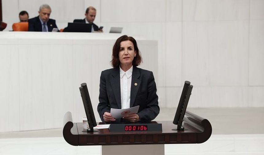 CHP’li Aliye Coşar: “Altyapı yapılmazsa cezaları artırmak kazaları önlemez”