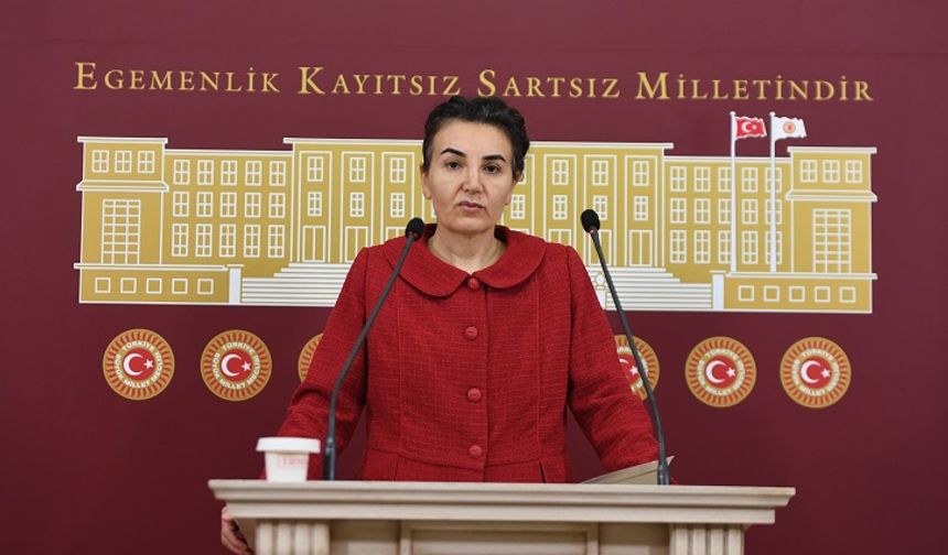 DEM Partili Çiçek Otlu: “ESP Biziz, Buradayız Umut Dimdik Ayakta!”