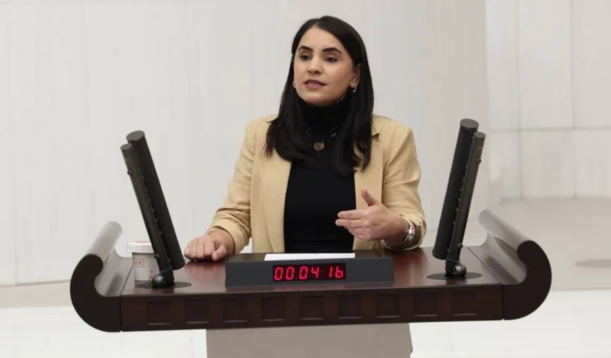 DEM Parti’li Nevroz Uysal Aslan: “Şırnaklı Çocuklara Yönelik İhlaller Sistematik”