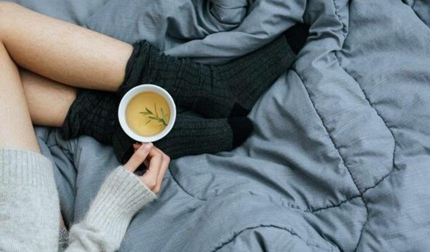 Modal Çorap Nedir ve Neden Tercih Edilir?