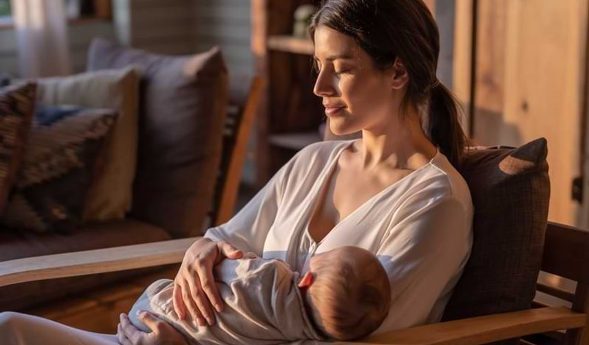 Emzirirken Beslenme Konusunda Merak Edilenler