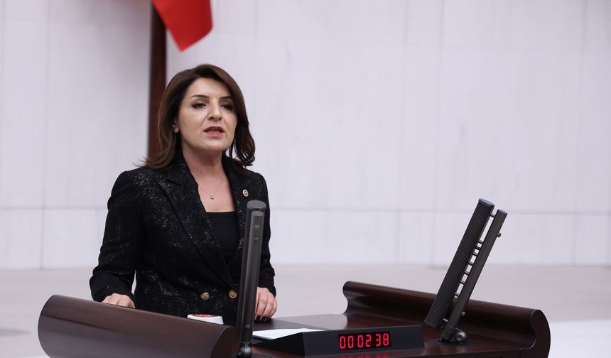 Gülcan Kış, sosyal medya paylaşımları gerekçe gösterilerek yapılan gözaltı ve tutuklamalara tepki gösterdi